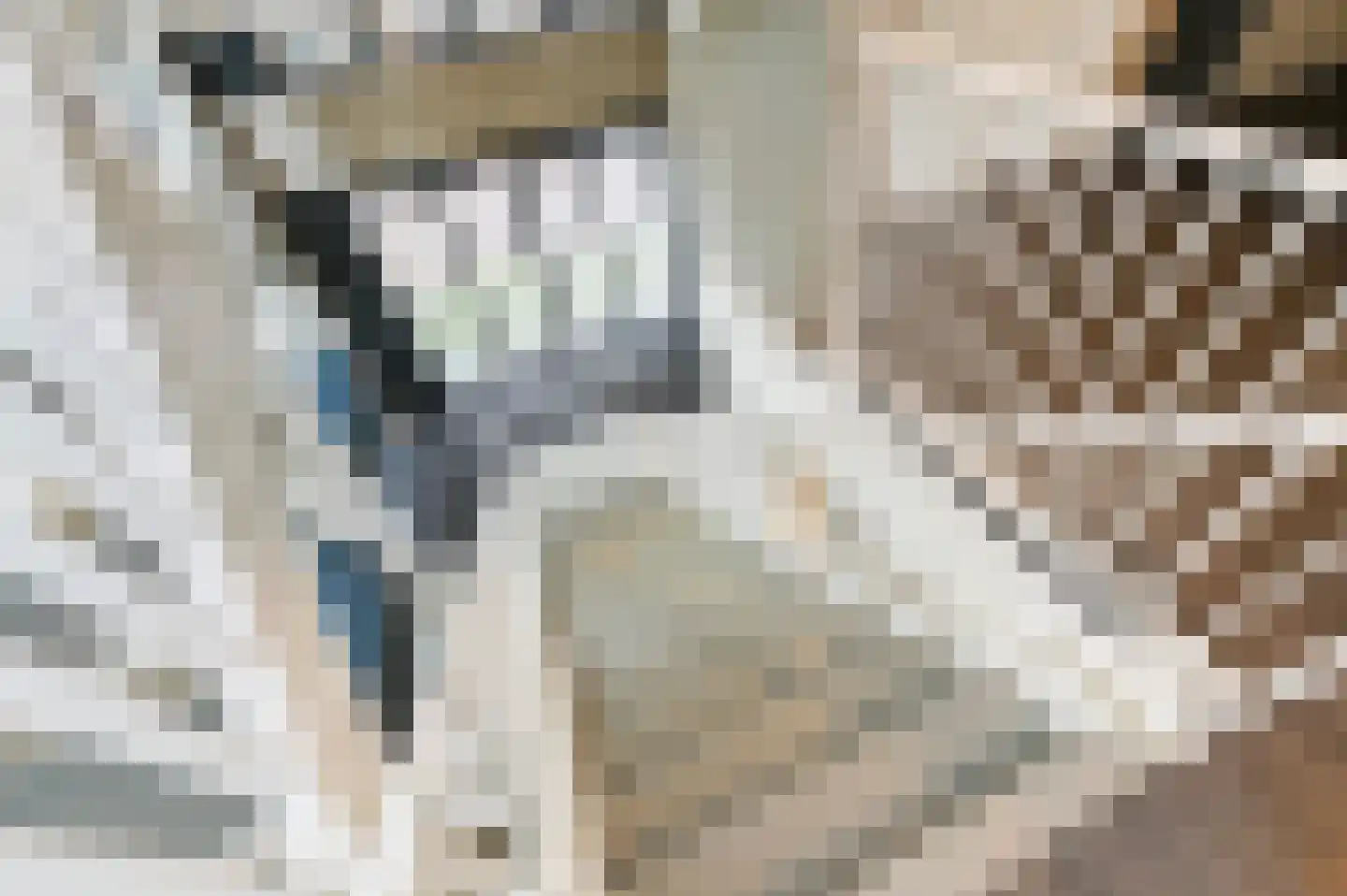 1e Lulofsdwarsstraat 2 M Den Haag thumbnail 18