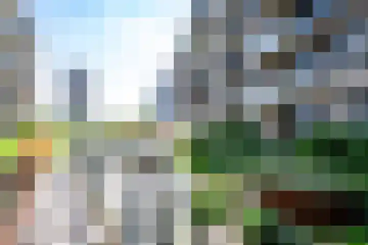 1e Lulofsdwarsstraat 24 V Den Haag thumbnail 19