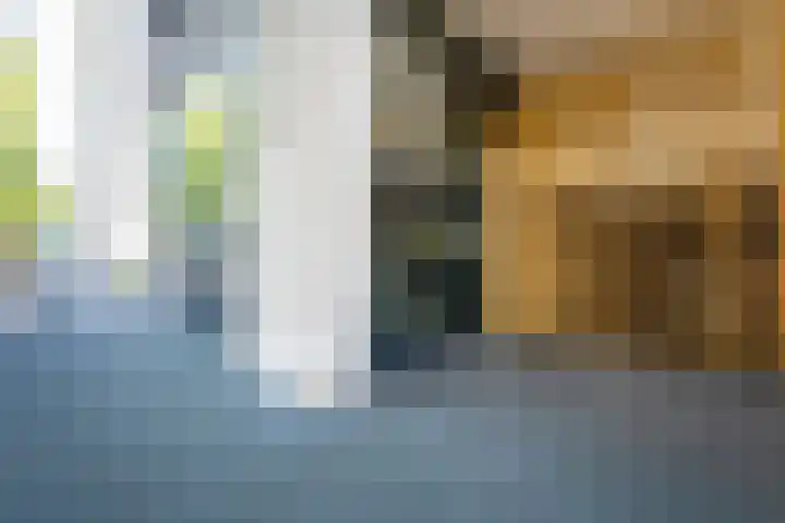 1e Lulofsdwarsstraat 24 V Den Haag thumbnail 25