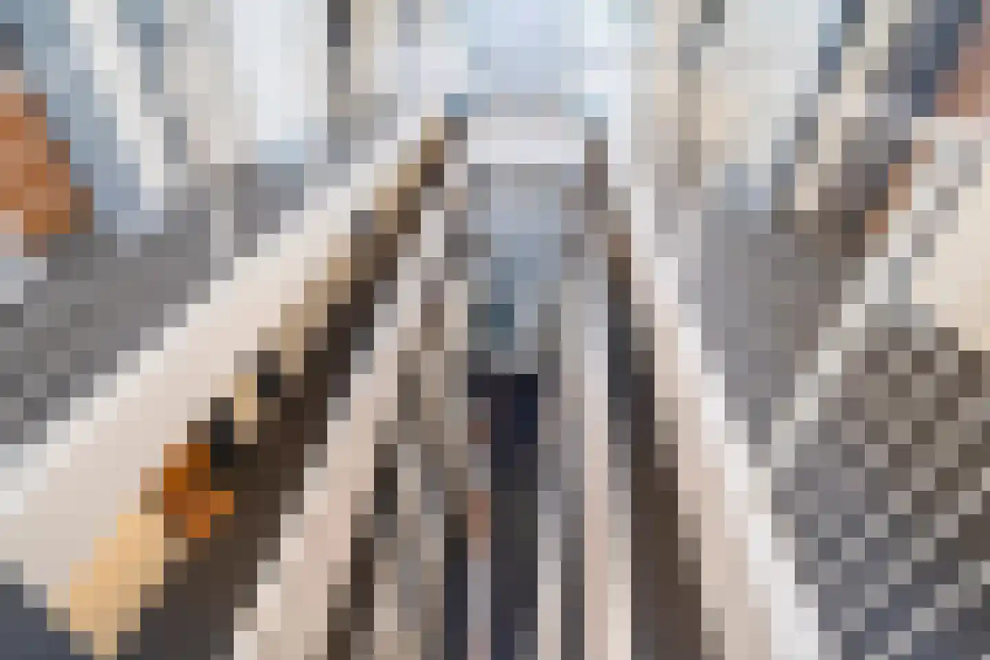 1e Lulofsdwarsstraat 30 D Den Haag thumbnail 33