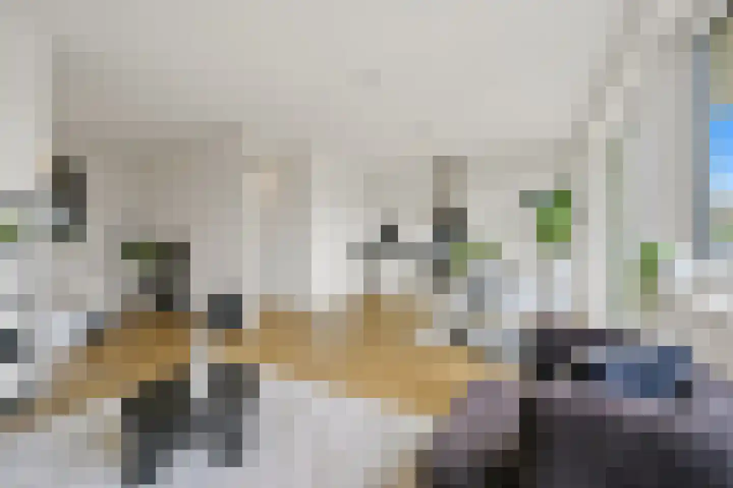 1e Lulofsdwarsstraat 32 X Den Haag thumbnail 12