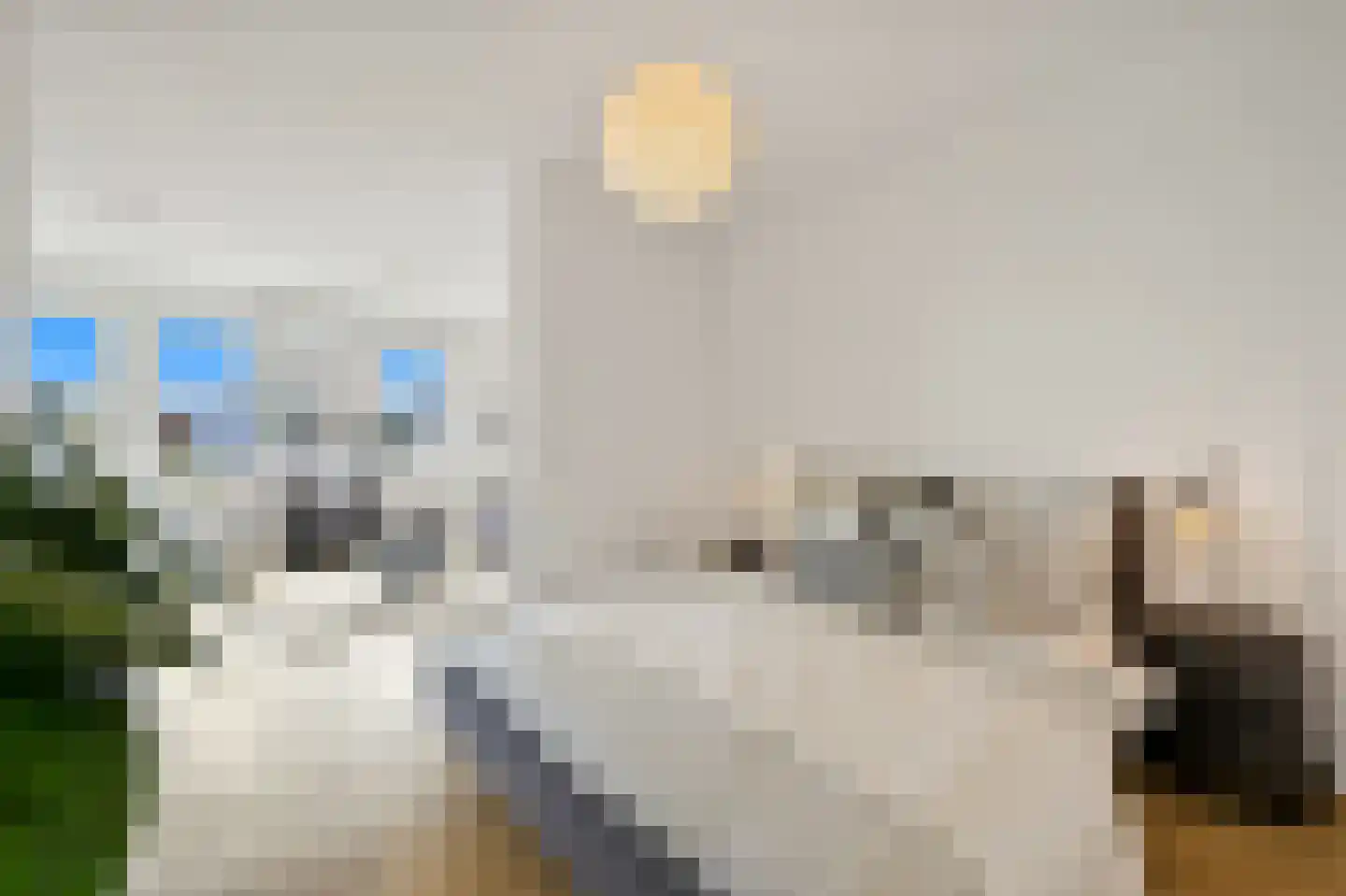 1e Lulofsdwarsstraat 32 X Den Haag thumbnail 19