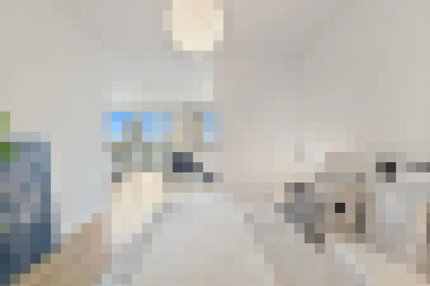 1e Lulofsdwarsstraat 40 U Den Haag thumbnail 13