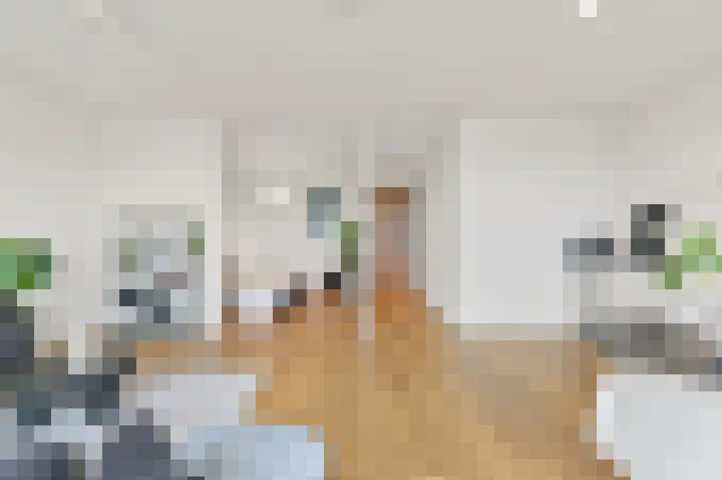 1e Lulofsdwarsstraat 40 U Den Haag thumbnail 4