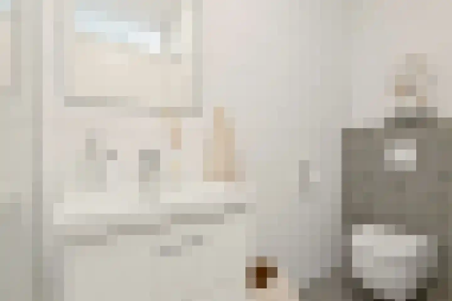 1e Lulofsdwarsstraat 42 F Den Haag thumbnail 20