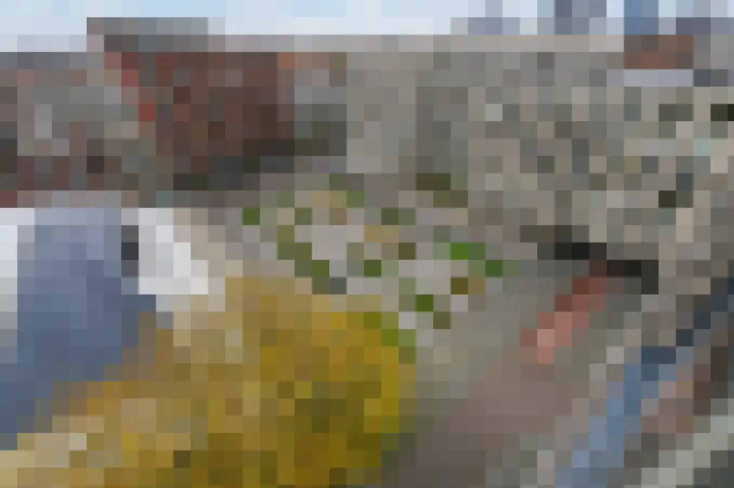 1e Lulofsdwarsstraat 6 V Den Haag thumbnail 15