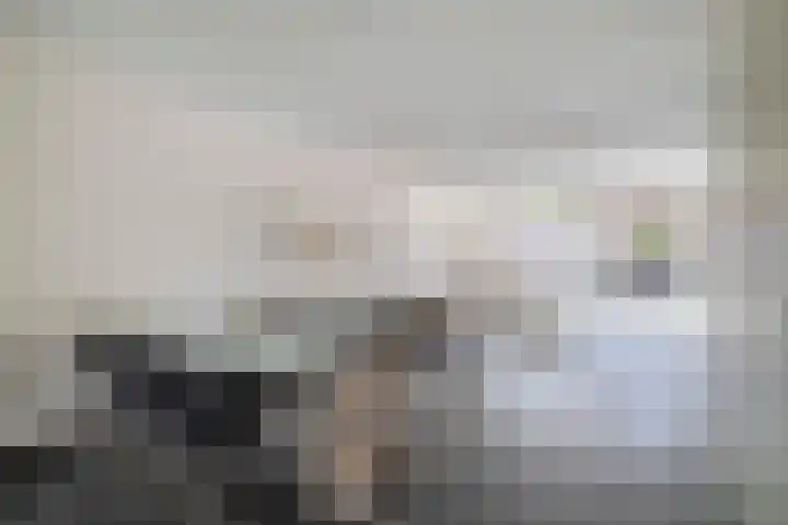 1e Lunarelaan 21 Capelle aan den IJssel thumbnail 10
