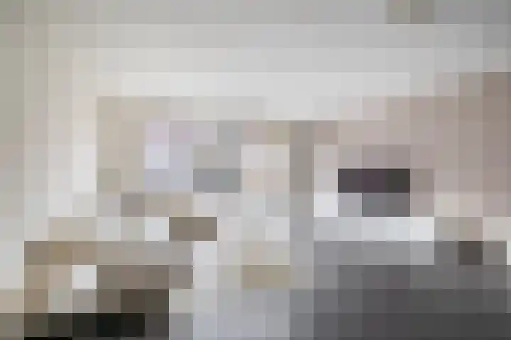 1e Lunarelaan 21 Capelle aan den IJssel thumbnail 11