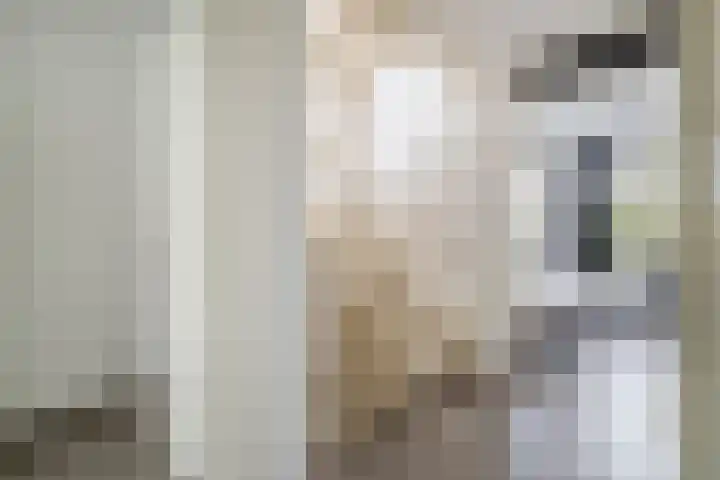 1e Lunarelaan 21 Capelle aan den IJssel thumbnail 18