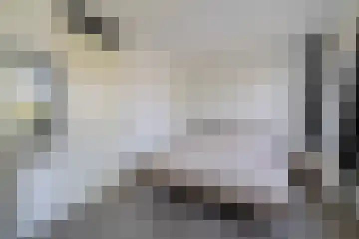 1e Lunarelaan 21 Capelle aan den IJssel thumbnail 19