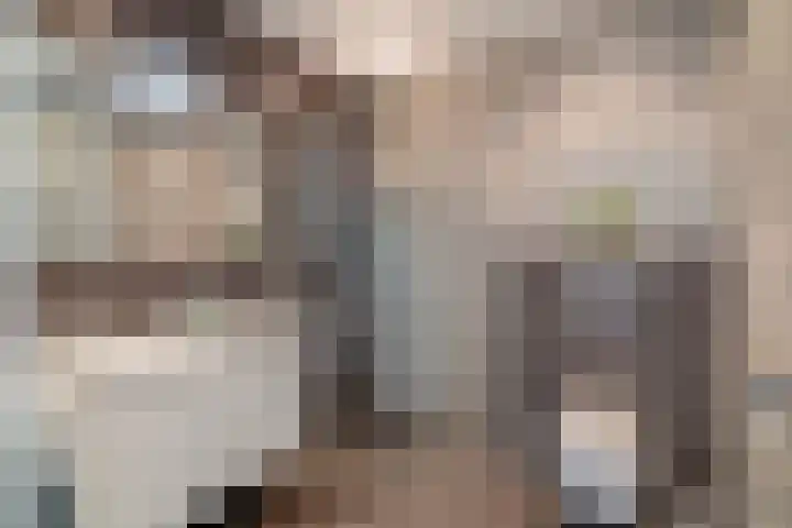 1e Lunarelaan 21 Capelle aan den IJssel thumbnail 21