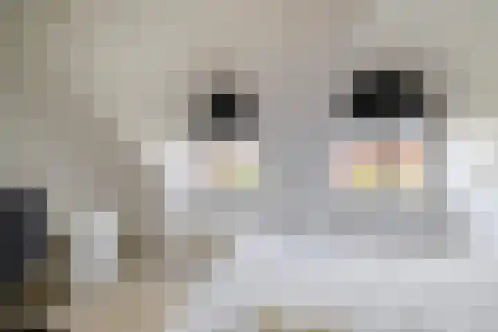 1e Lunarelaan 21 Capelle aan den IJssel thumbnail 23
