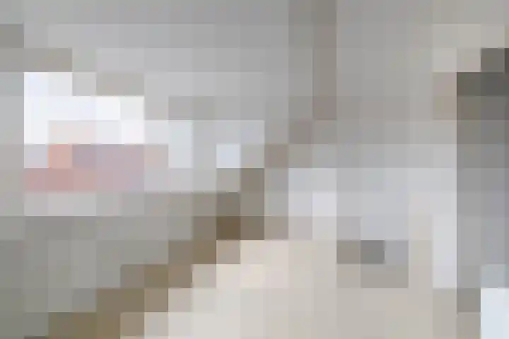 1e Lunarelaan 21 Capelle aan den IJssel thumbnail 26