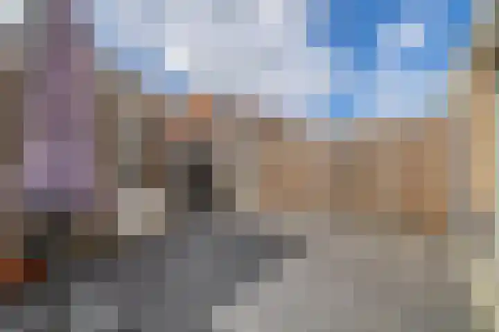 1e Lunarelaan 21 Capelle aan den IJssel thumbnail 28