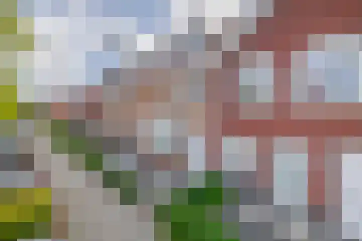1e Lunarelaan 21 Capelle aan den IJssel thumbnail 31