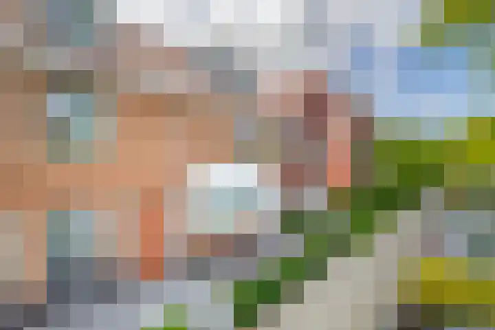 1e Lunarelaan 21 Capelle aan den IJssel thumbnail 48