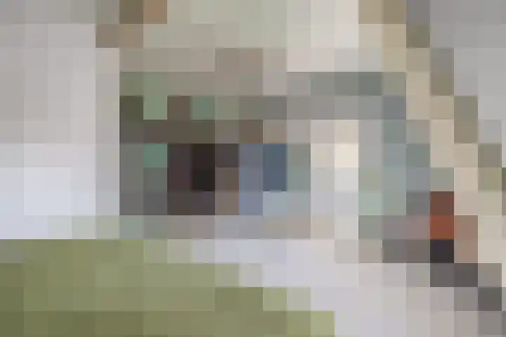 1e Maasveldstraat 41 Venlo thumbnail 21