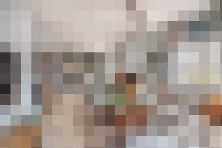 1e Maasveldstraat 41 Venlo thumbnail 4