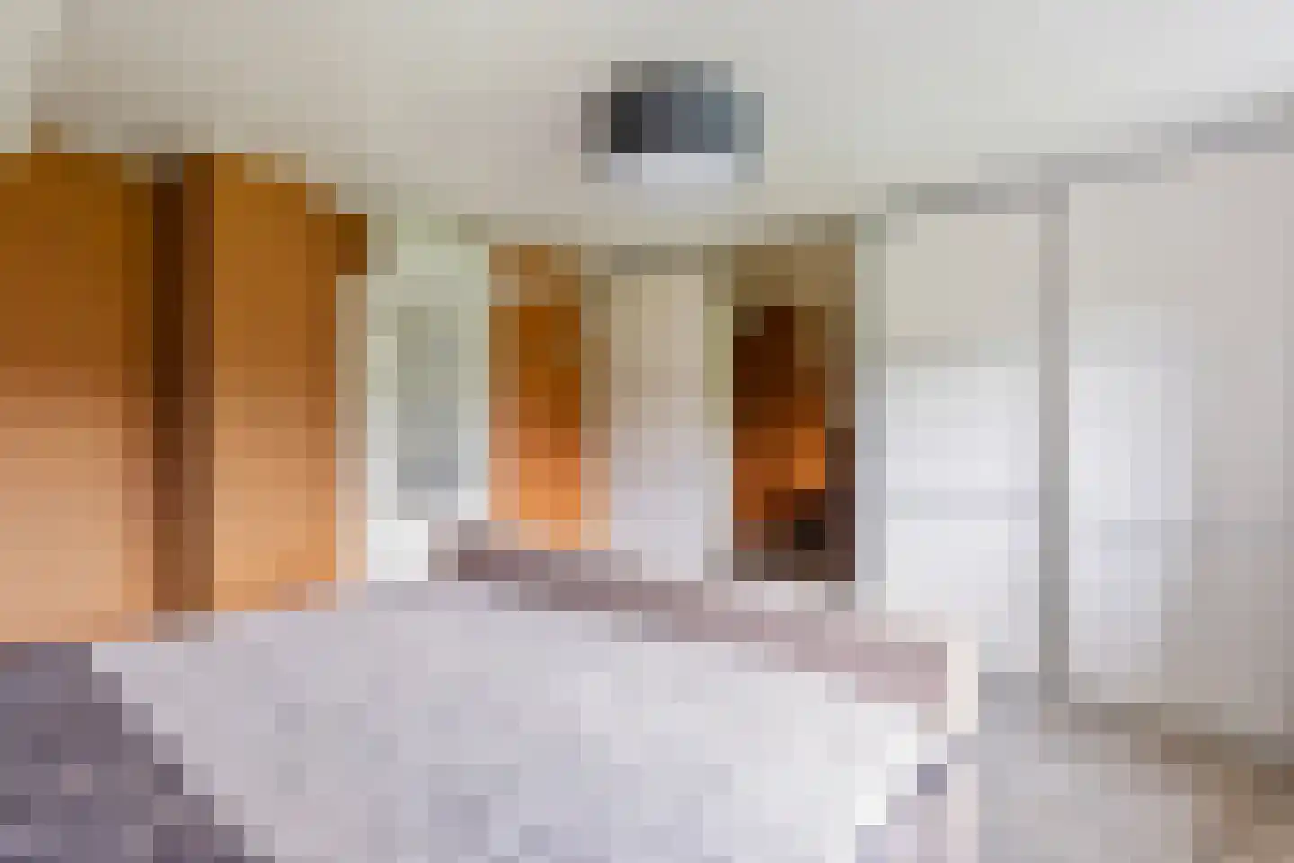 1e Meijerinkshoekweg 19 Wierden thumbnail 17