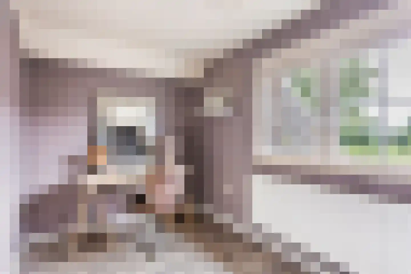 1e Meijerinkshoekweg 19 Wierden thumbnail 18