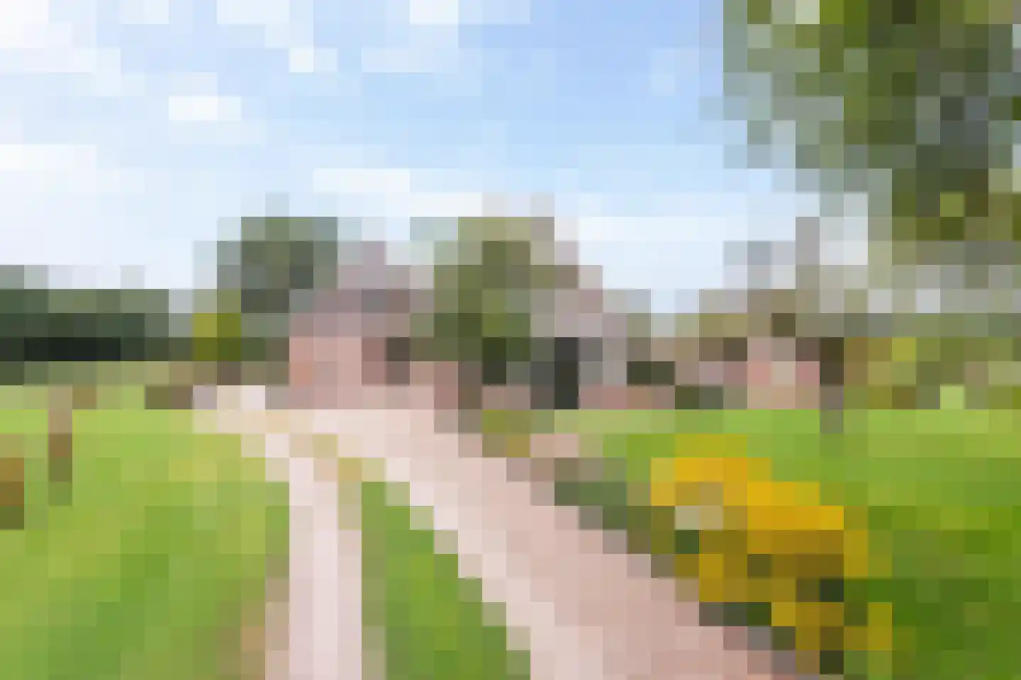 1e Meijerinkshoekweg 19 Wierden foto 2