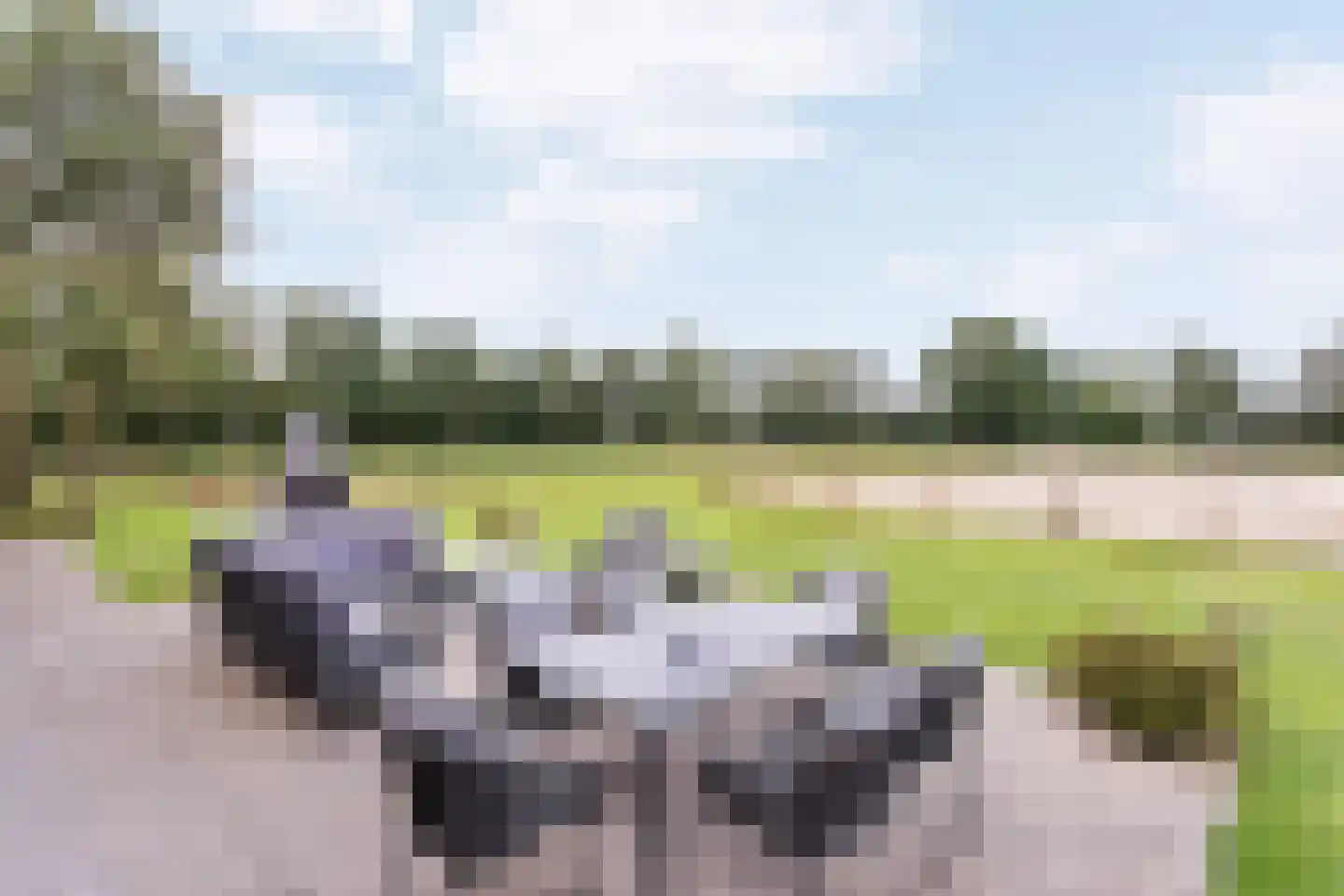 1e Meijerinkshoekweg 19 Wierden thumbnail 23