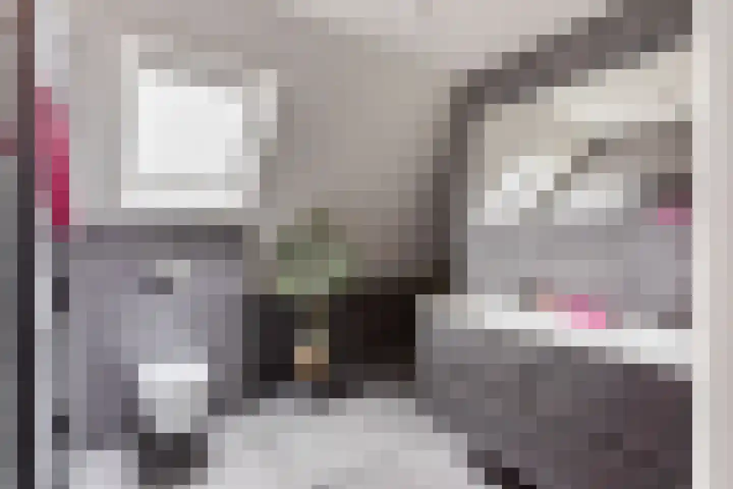 1e Meijerinkshoekweg 19 Wierden thumbnail 31