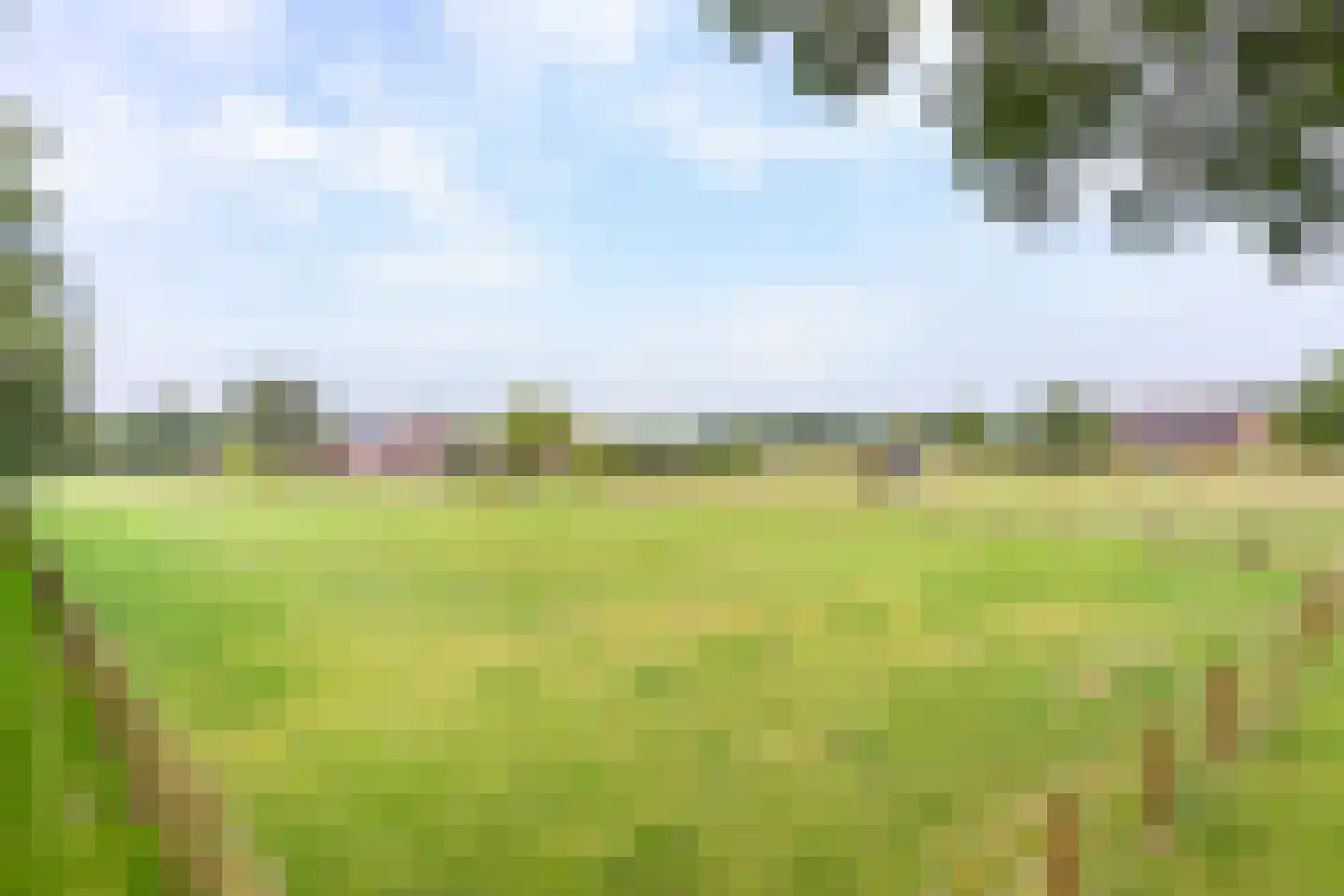 1e Meijerinkshoekweg 19 Wierden thumbnail 34
