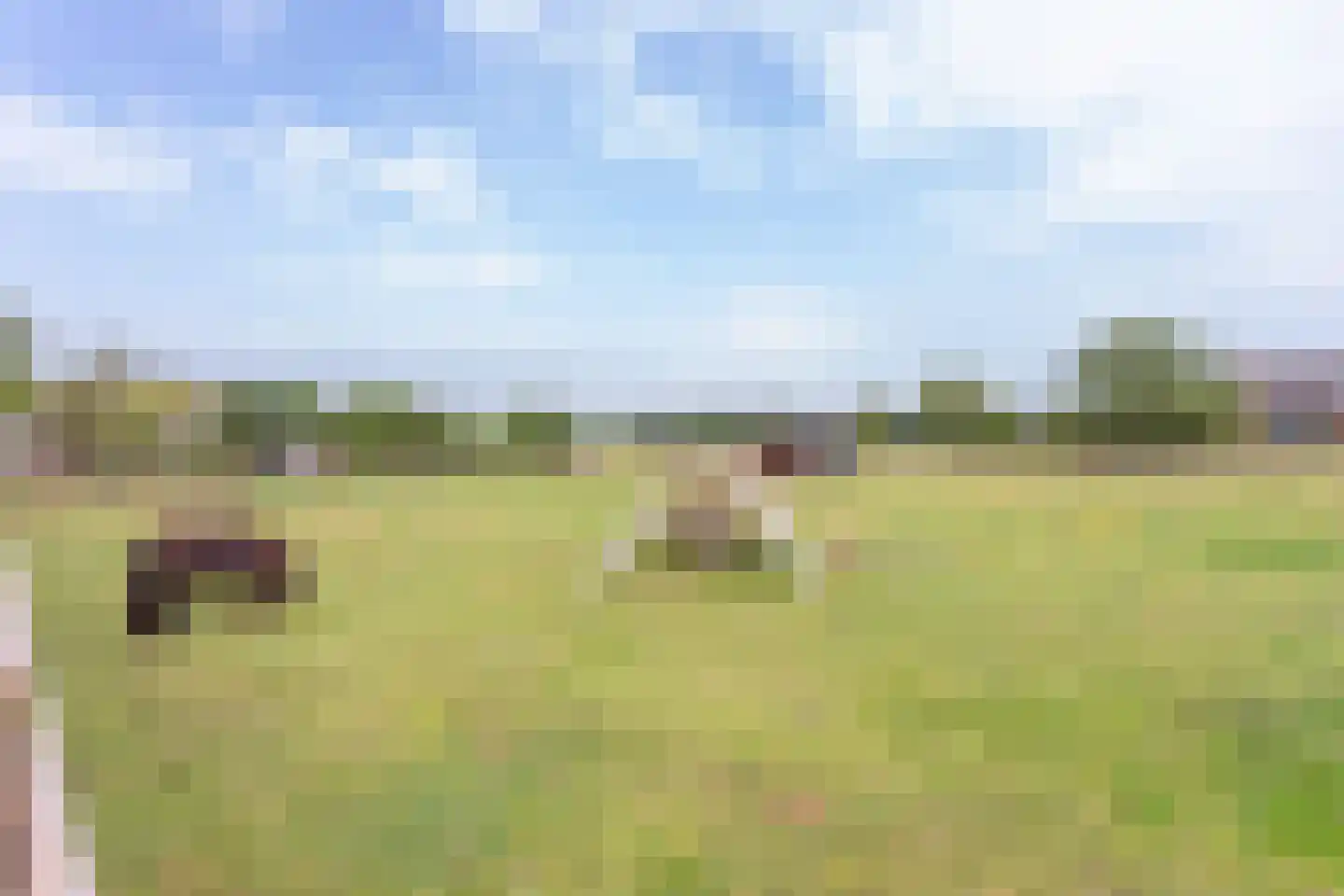1e Meijerinkshoekweg 19 Wierden thumbnail 6