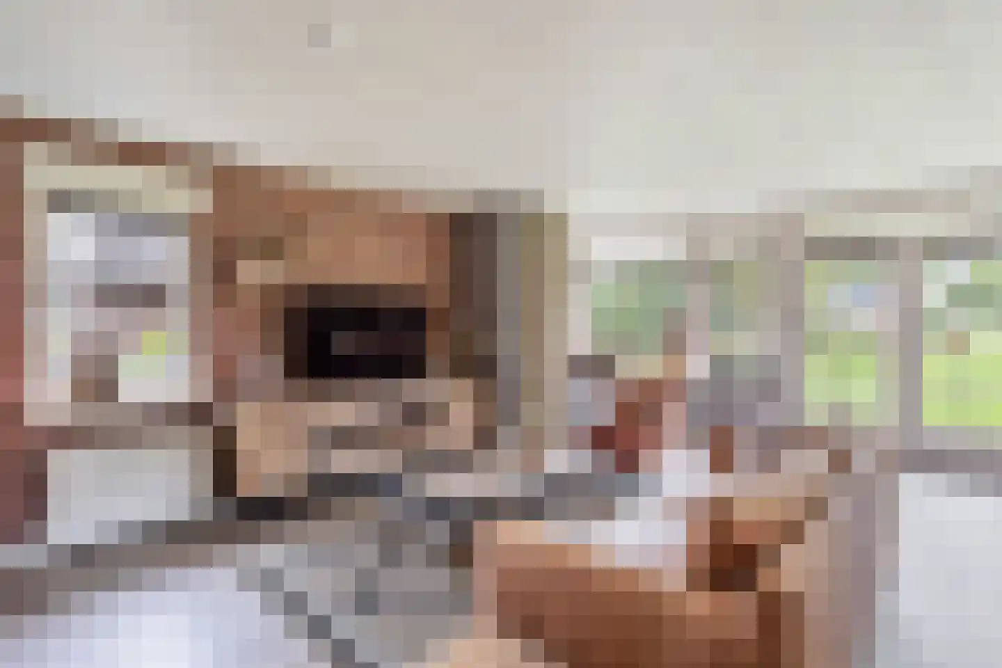 1e Meijerinkshoekweg 19 Wierden thumbnail 9
