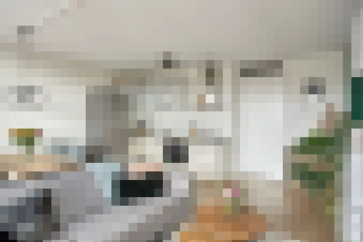 1e Melmseweg 101 Veenendaal thumbnail 13
