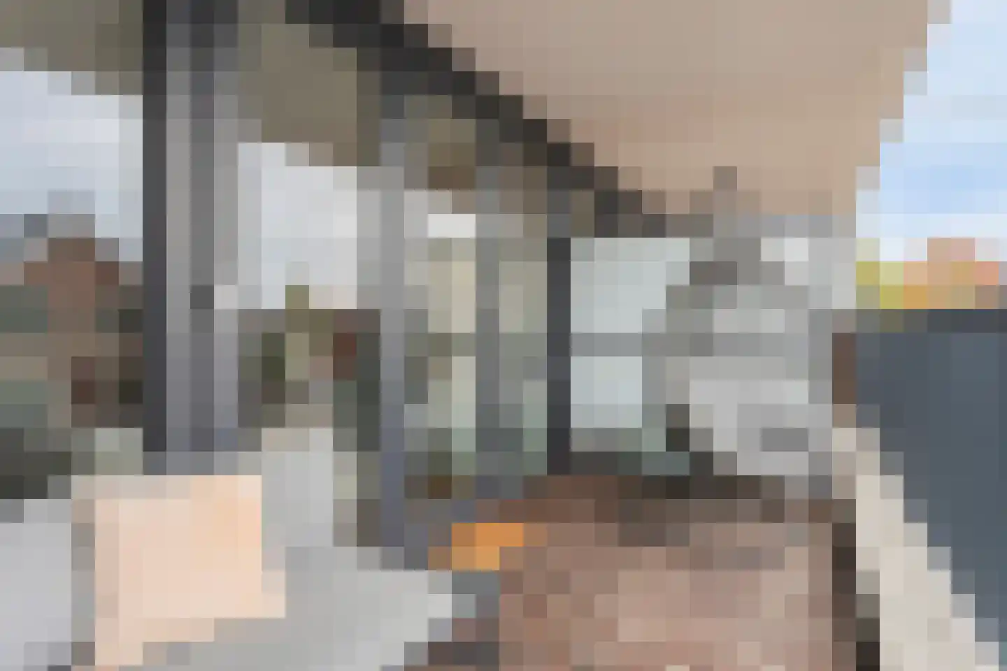1e Melmseweg 101 Veenendaal thumbnail 15
