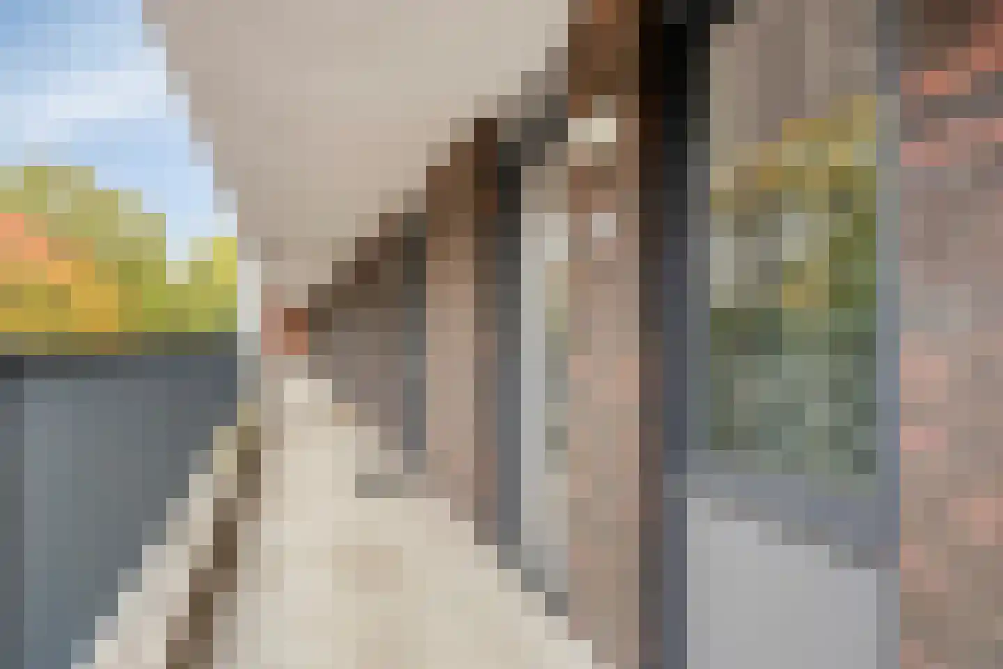 1e Melmseweg 101 Veenendaal thumbnail 7