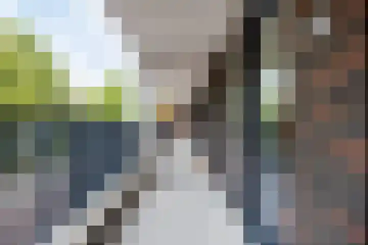 1e Melmseweg 103 Veenendaal thumbnail 10