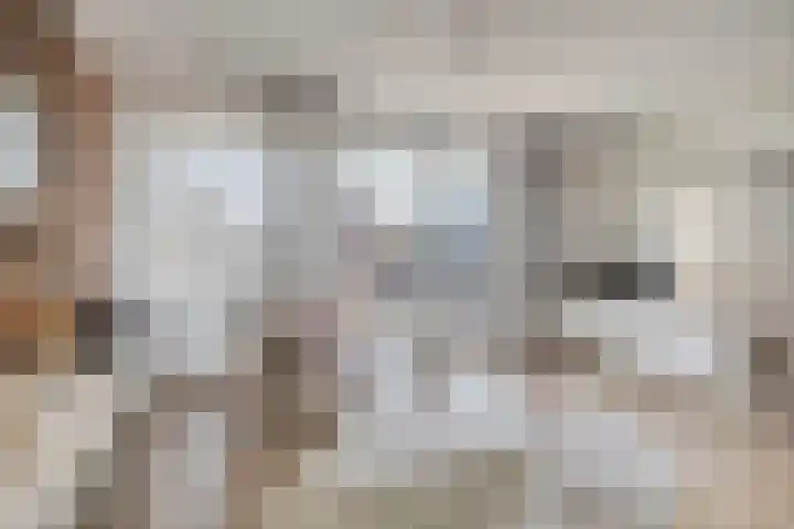 1e Melmseweg 103 Veenendaal thumbnail 15