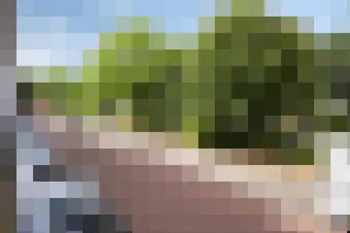 1e Melmseweg 103 Veenendaal thumbnail 24