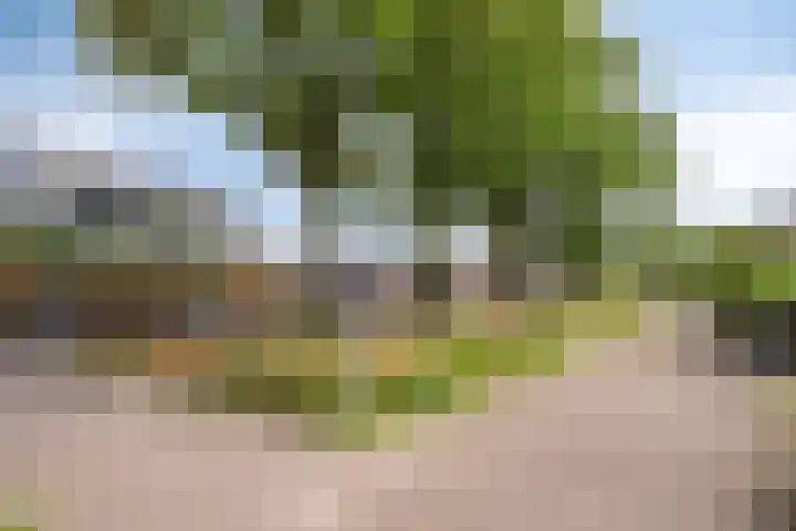 1e Melmseweg 103 Veenendaal thumbnail 27