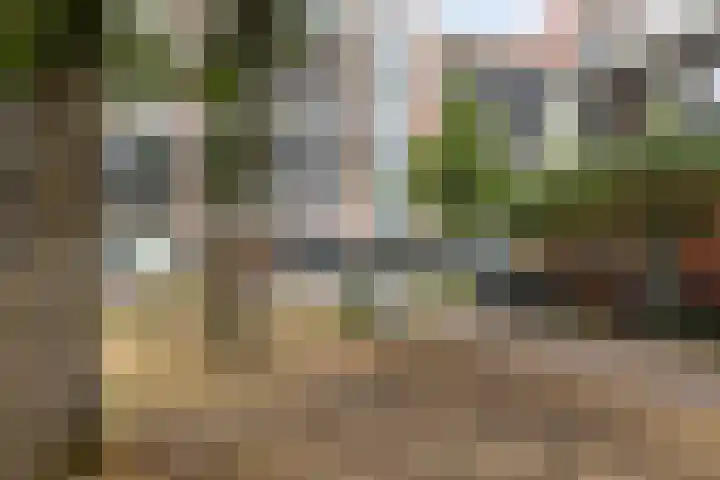 1e Melmseweg 103 Veenendaal thumbnail 28
