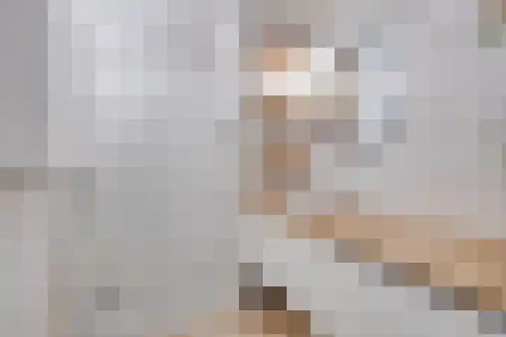 1e Melmseweg 103 Veenendaal thumbnail 4