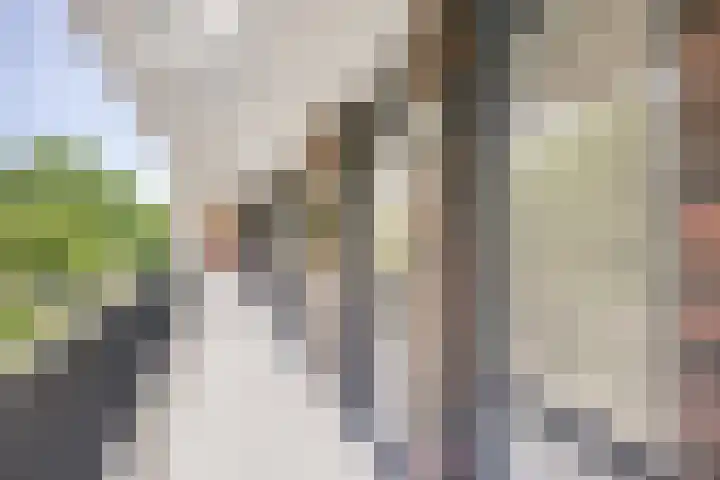 1e Melmseweg 119 Veenendaal thumbnail 13