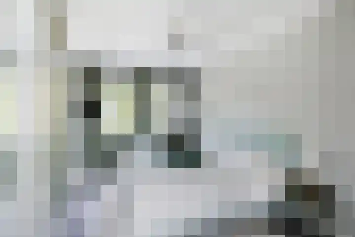 1e Melmseweg 119 Veenendaal thumbnail 31