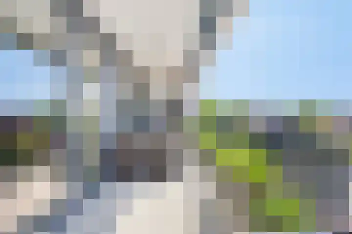 1e Melmseweg 119 Veenendaal thumbnail 41