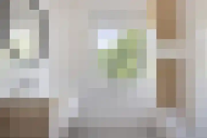 1e Melmseweg 119 Veenendaal thumbnail 5