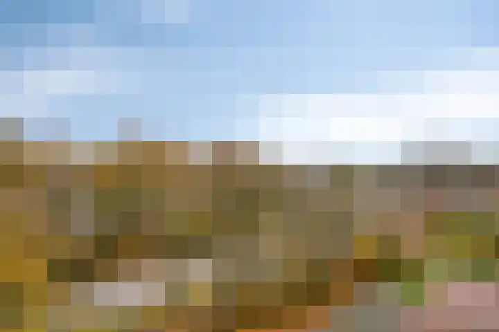 1e Melmseweg 143 Veenendaal thumbnail 23