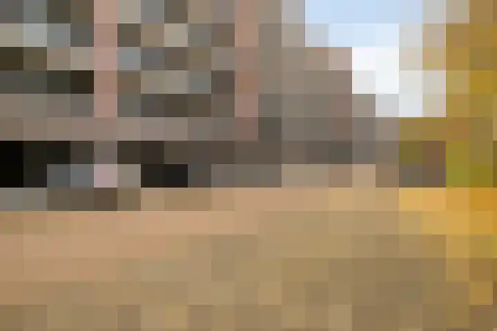 1e Melmseweg 143 Veenendaal thumbnail 26