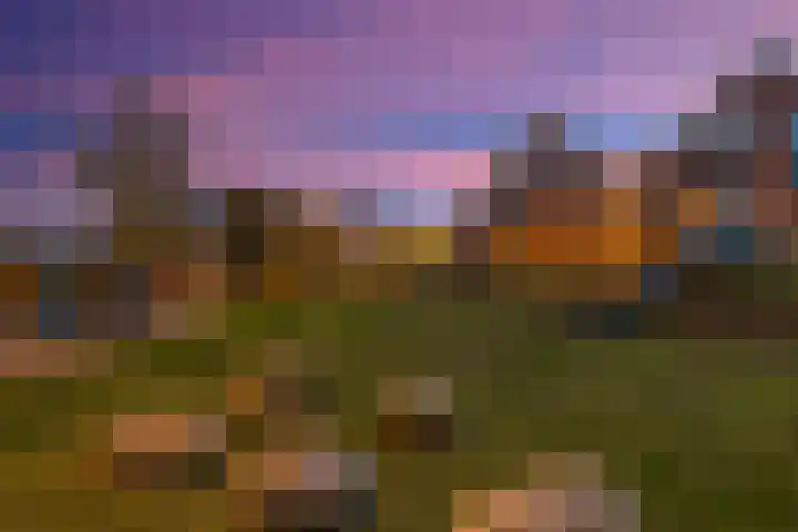1e Melmseweg 143 Veenendaal thumbnail 27
