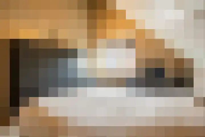 1e Melmseweg 16 Veenendaal thumbnail 20