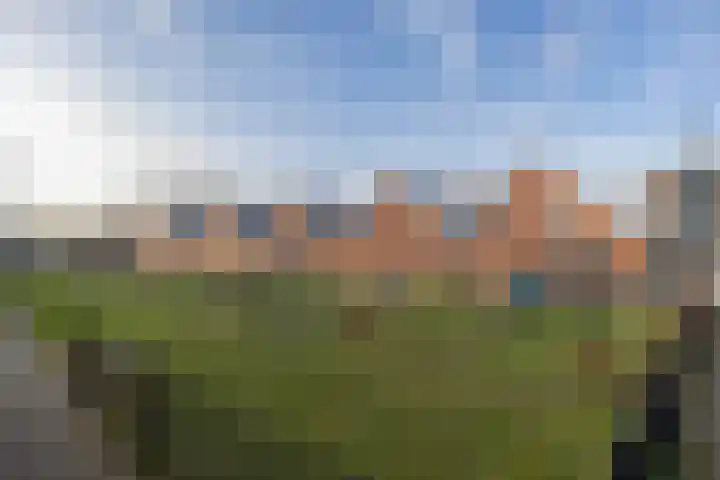 1e Melmseweg 16 Veenendaal thumbnail 33