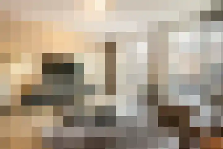 1e Melmseweg 16 Veenendaal thumbnail 9