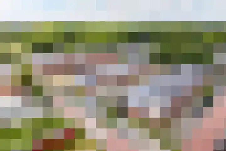 1e Melmseweg 26 Veenendaal thumbnail 29